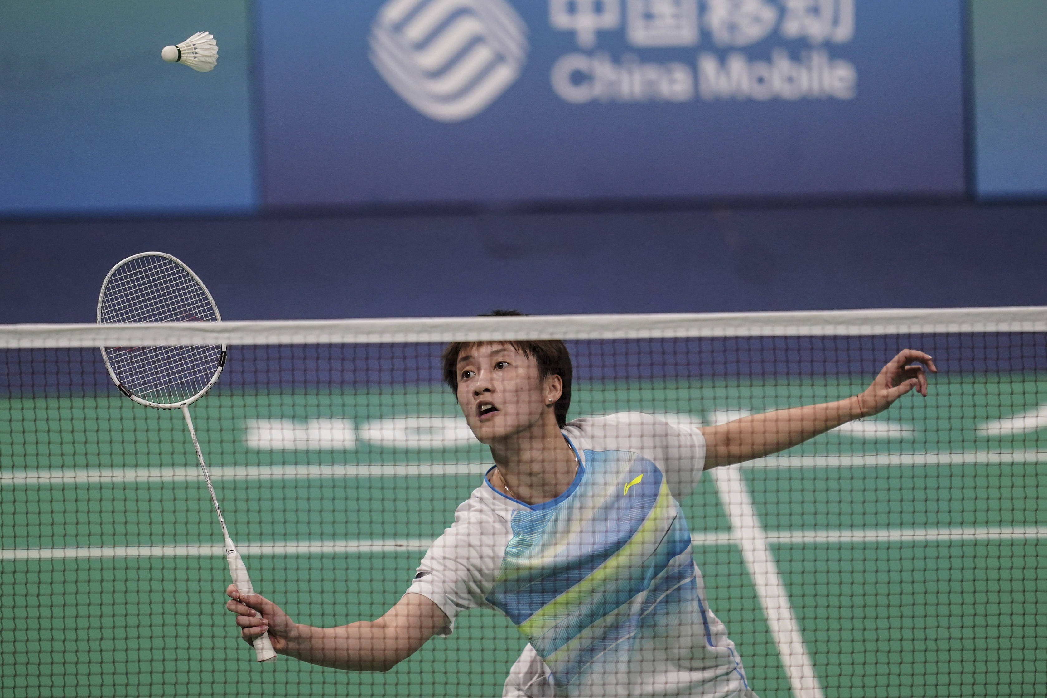 的粉丝有了 的粉丝有了